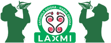 LAccMI_Logo